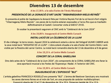 Actes de la celebració d e la Llum