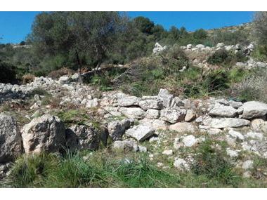 El poblat talaiòtic el Claper dels Gegants treu a la llum part de les estructures després de la neteja vegetal