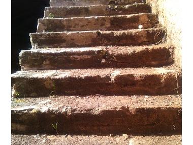 El departament de Patrimoni neteja els rentadors del carrer col·legi