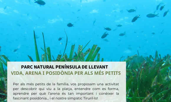 Cartell