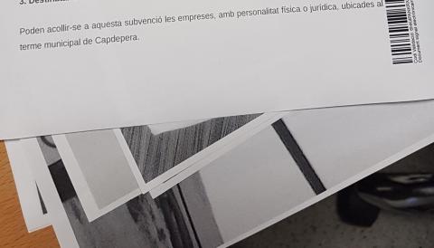 Subvenció normalització lingüística empreses 2019