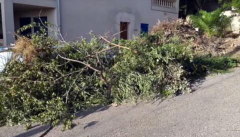 Projecte Millora Capdepera