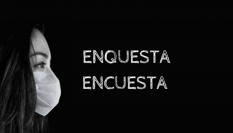 Enquesta