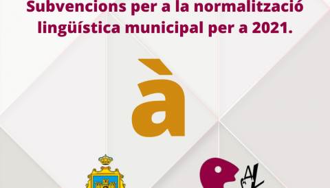 normalització 