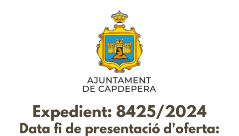 serveis de manteniment d'enllumenat públic