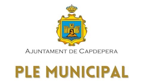 Convocatòria ple municipal