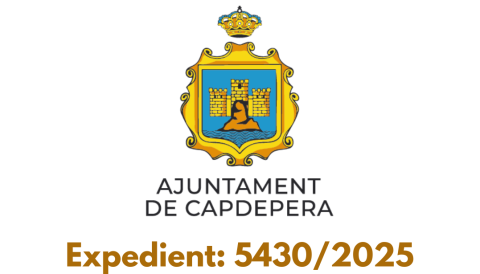licitació 