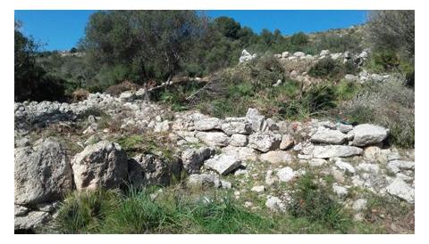 El poblat talaiòtic el Claper dels Gegants treu a la llum part de les estructures després de la neteja vegetal
