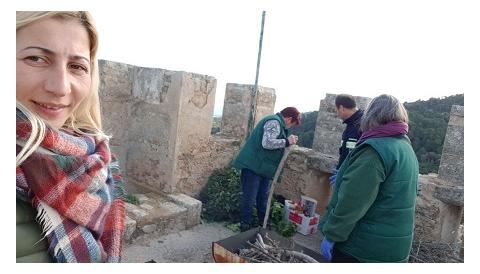L'encesa de fum de les talaies pels drets humans ha recorregut aquest migdia una cinquantena de punts arreu de Mallorca en 28 minuts 