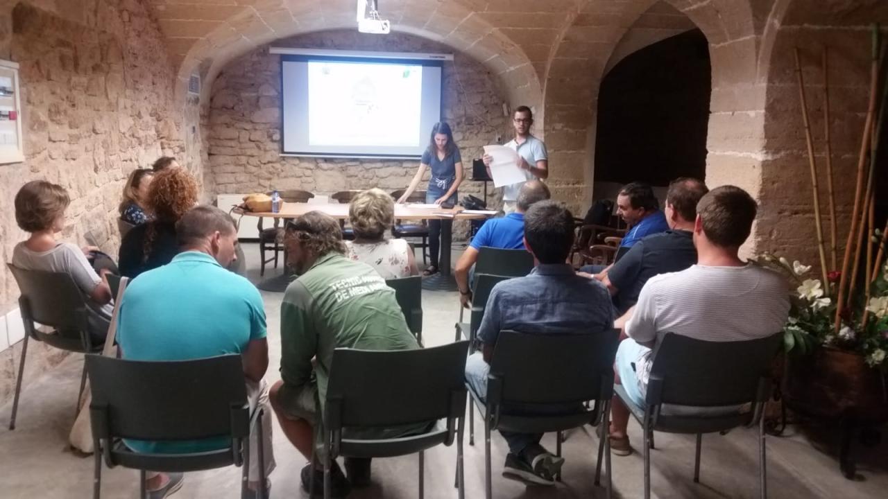 Pla d’Acció i Energia Sostenible 