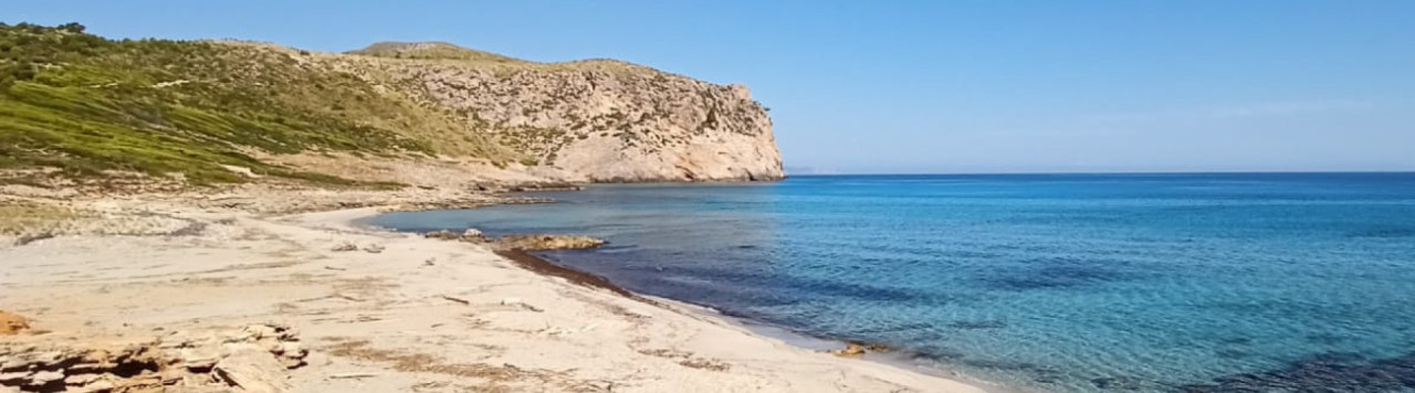 VOLUNTARIAT A S'ARENALET D'ALBARCA