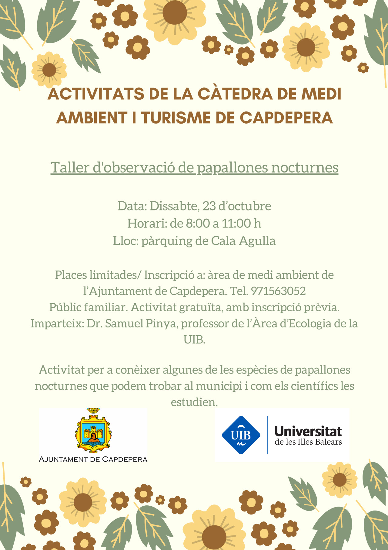 Taller d'observació de papallones nocturnes