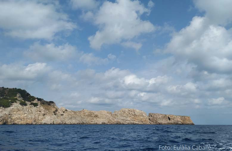 VISITA GUIADA FINS LA RESERVA NATURAL DEL CAP DES FREU