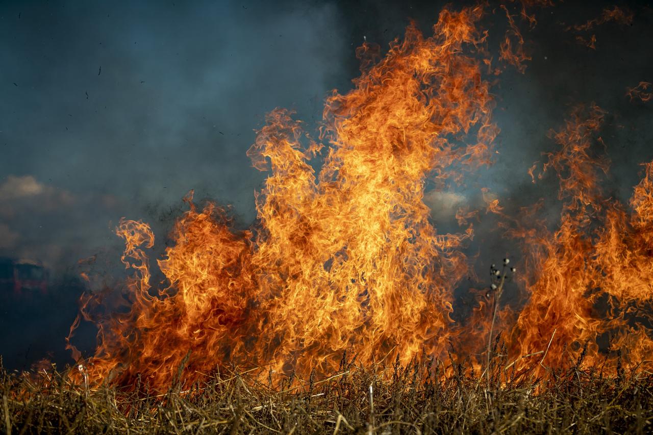 INCENDIS FORESTALS