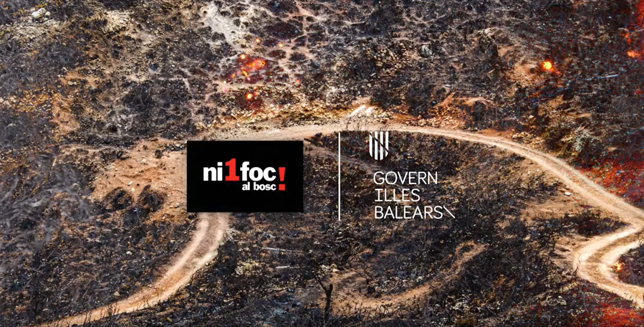 ni 1 foc al bosc