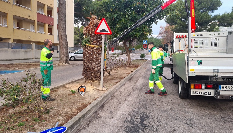 Manteniment 