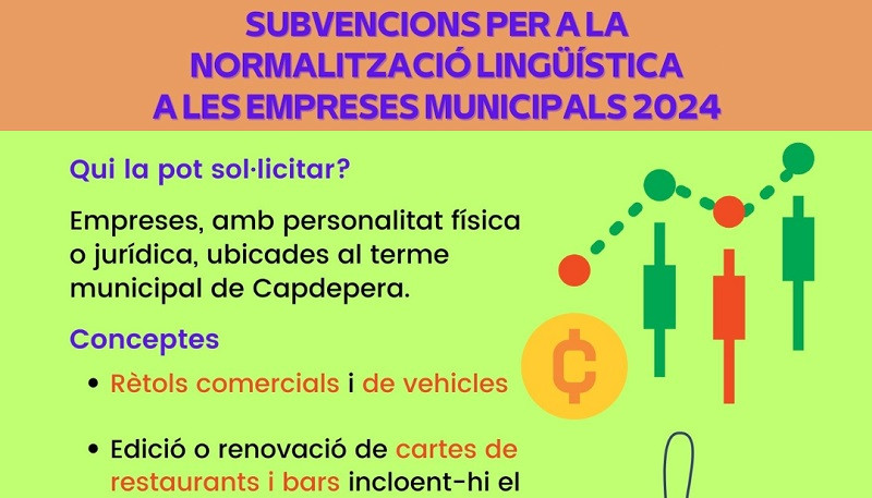 SUBVENCIONS 