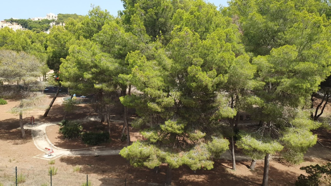 PARC DE SA GRAVERA