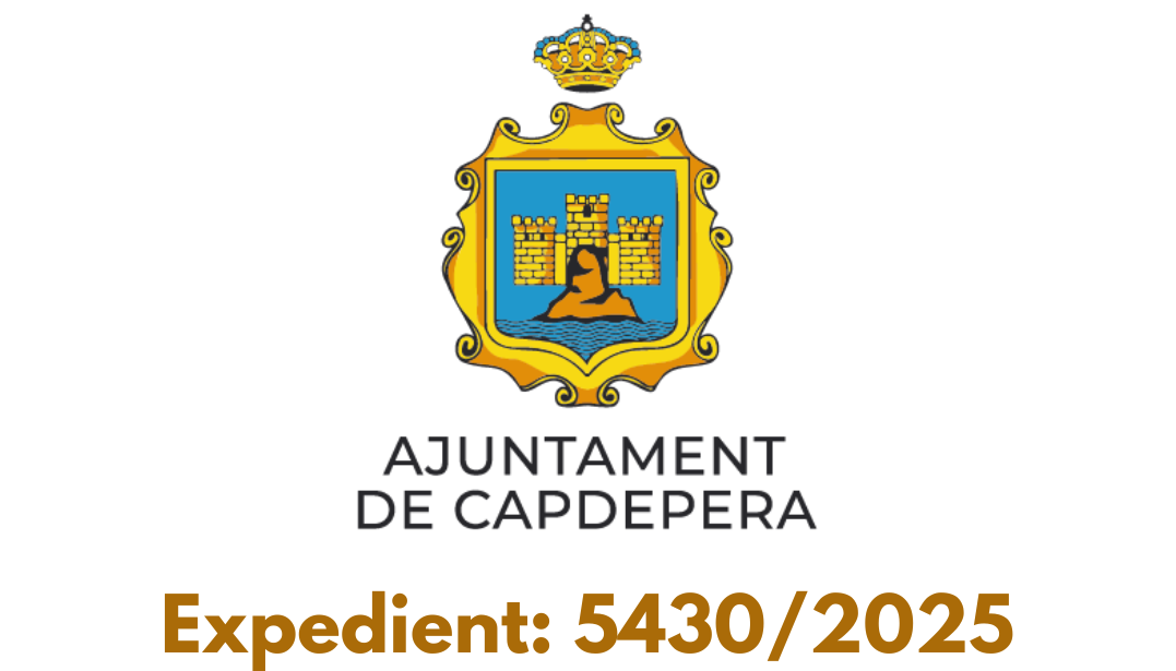 licitació 