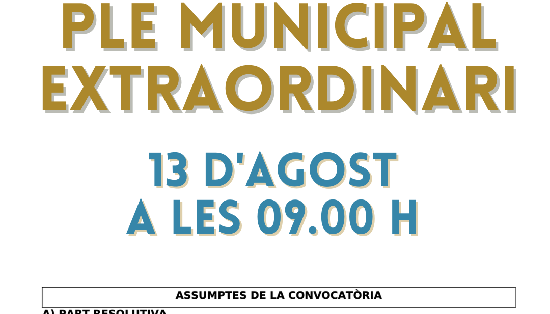  ple municipal extraordinari. 