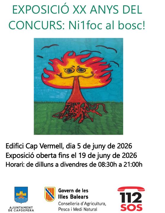 Ni i foc al bosc