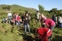 Els alumnes de cinquè participen en una sembra d’arbres a Cala Agulla