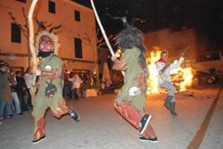 Sant Antoni 2010