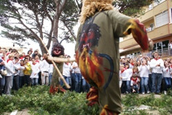 Sant Antoni a Cala Rajada