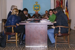Ple ordinari de febrer