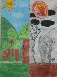 Concurs 'Ni 1 foc al bosc'