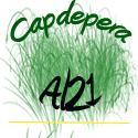 Presentació del Diagnòstic de Sostenibilitat de l'Agenda Local 21