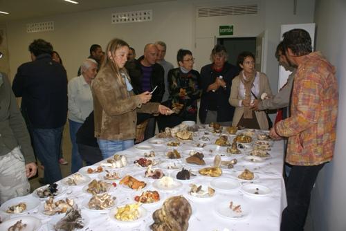 Jornades Micològiques amb Felip Esteva
