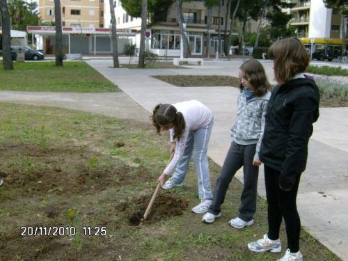 Els alumnes de 5è sembren arbres al jardí del Cap Vermell