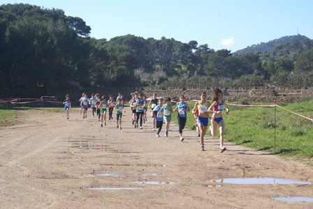 Cros Platja de Cala Agulla
