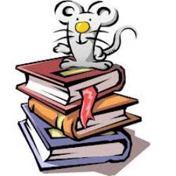 2014, any de l'educació a Capdepera