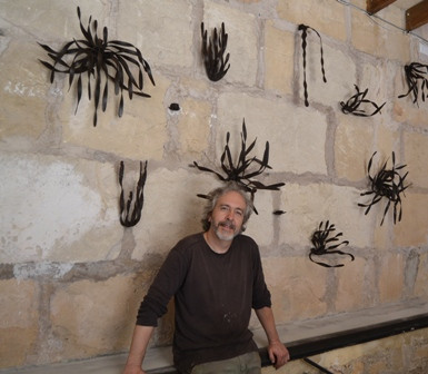 Plantes de ferro al Centre Melis Cursach
