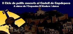 II Cicle de petits concerts