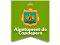 Informació sobre el carnet BTP