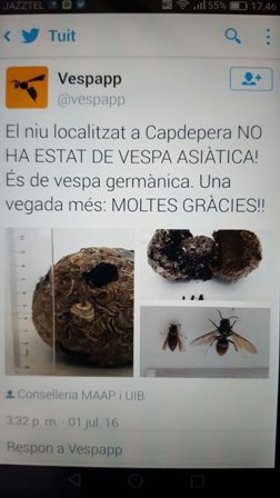 El niu trobat a Capdepera és de vespa germànica