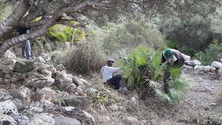 Comença la tasca de neteja del jaciment arqueològic Es Claper des Gegants