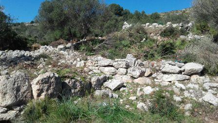 El poblat talaiòtic el Claper dels Gegants treu a la llum part de les estructures després de la neteja vegetal