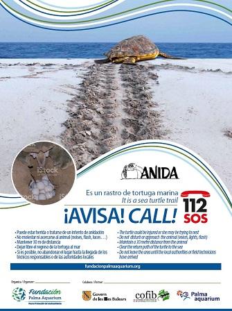Projecte ANIDA de la Fundació Palma Aquarium 