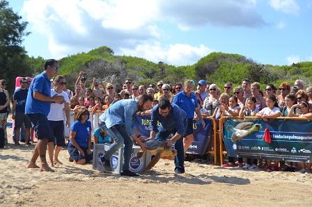 El Centre de Recuperació de Fauna Marina de Palma Aquarium amolla la tortuga Cannoli a cala Agulla
