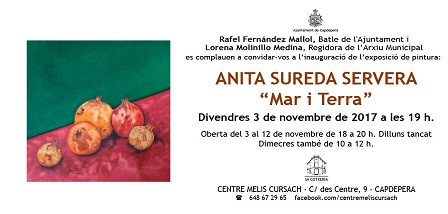 Exposició d'Anita Sureda al Centre Melis