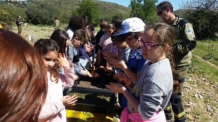 Els alumnes de S’Auba i S’Alzinar participen d’una jornada forestal a Sa Duaia