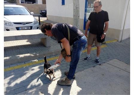 El departament de Medi Ambient vol fer complir la normativa sobre animals domèstics a la via pública
