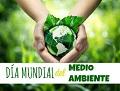 Dia Mundial del Medi Ambient