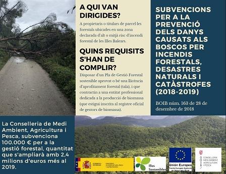 Subvenció per a la gestió forestal
