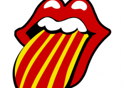 Estudiam català a través de la xarxa