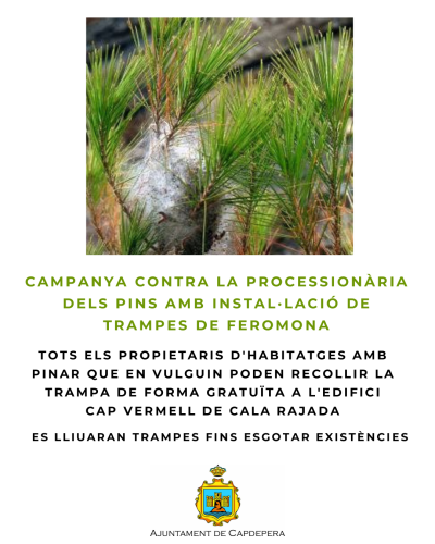 Processionària